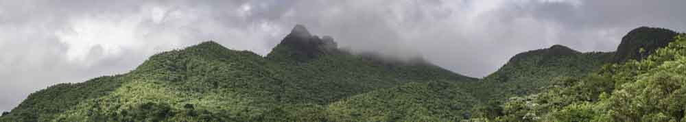 El Yunque